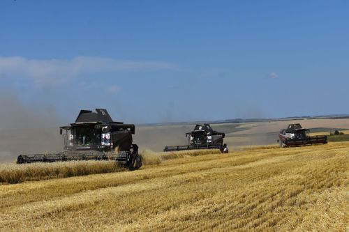 Уборочная страда: погода испытывает земледельцев Кайбицкого района