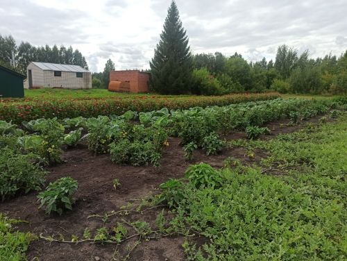 Комиссия проверила готовность школ Кайбицкого района к новому учебному году