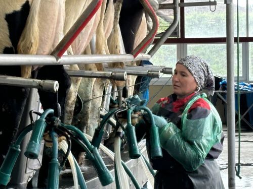 Марат Ахметов положительно оценил темпы развития Кайбицкого района