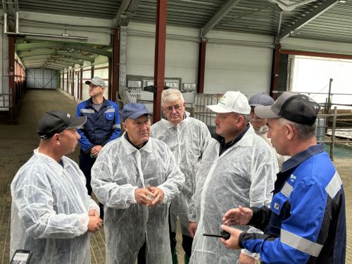 Марат Ахметов положительно оценил темпы развития Кайбицкого района