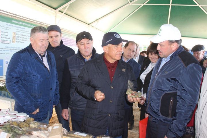 Президент Республики Татарстан пожелал кайбицким земледельцам успешной посевной
