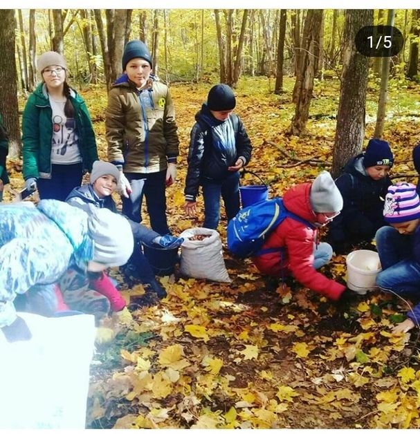 Учащиеся  Большекайбицкой школы с педагогами посетили осенний лес. Но не только для экскурсии.
