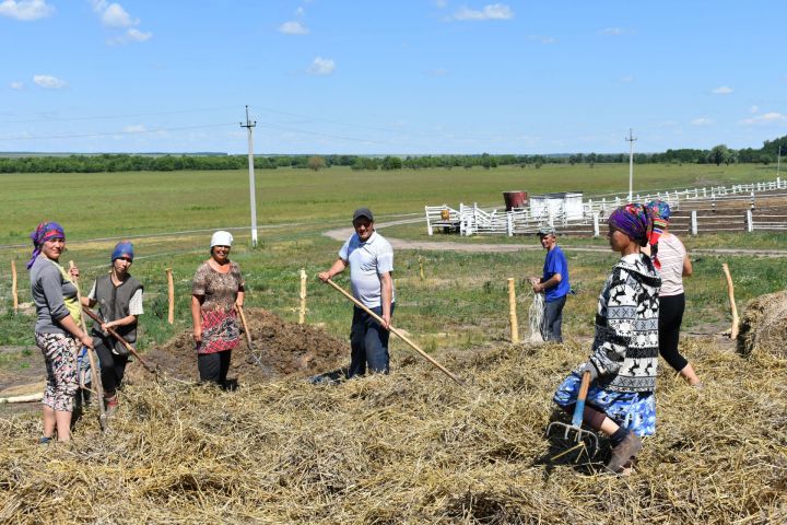 В Кайбицком районе успешно идет заготовка кормов