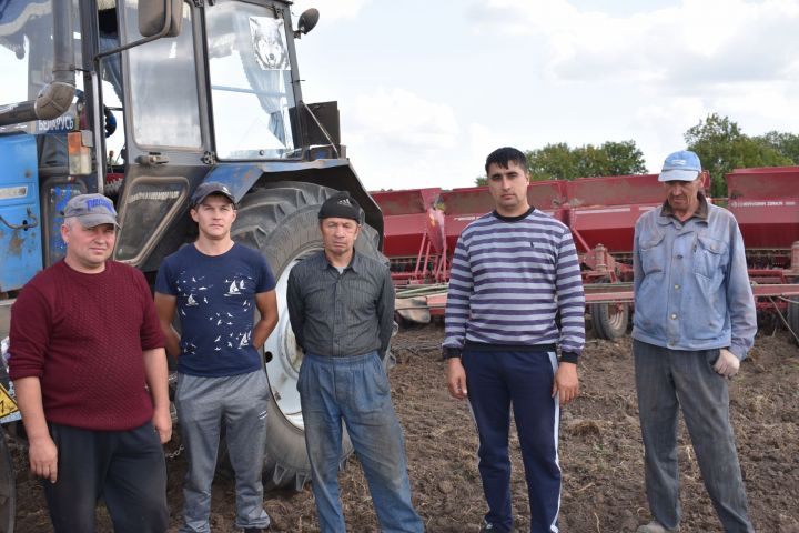 Механизаторы агрофирмы «Дубрава» засевают поля сельхозпредприятия