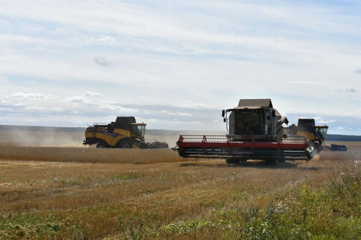 В Кайбицком районе завершилась уборка зерновых