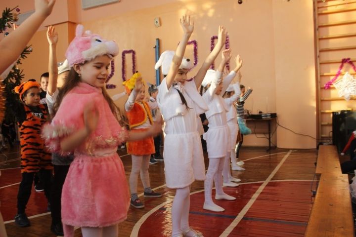 Стало известно, будут ли в школах и детсадах Татарстана новогодние елки