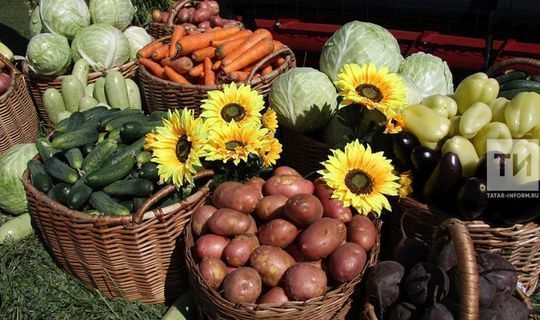 Татарстана покупают продукты у фермеров раз в месяц