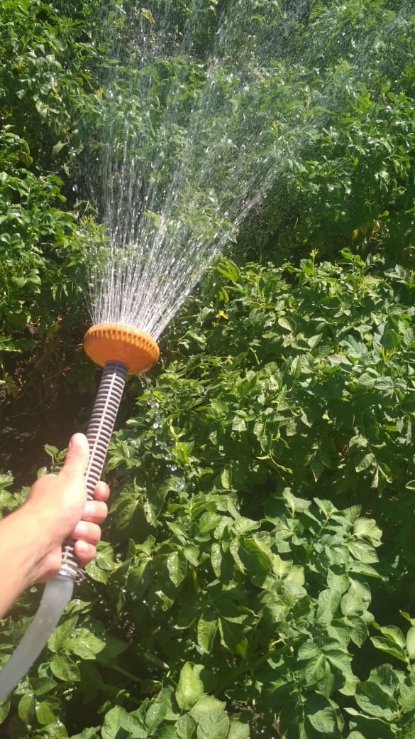 В Кайбицах из-за полива жителями  огородов не хватает питьевой воды
