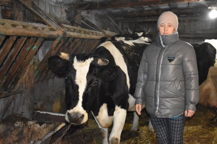 В личном подворье Тимергалиевых из Бурундуков семнадцать голов крупного рогатого скота