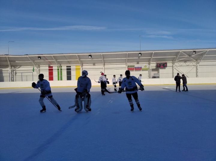 В Кайбицах прошел районный турнир по хоккею
