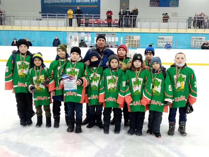 Кайбицкие хоккеисты стали бронзовыми призерами