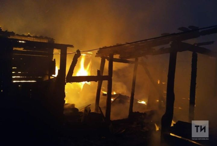 В Татарстане семья спаслась из горящего дома