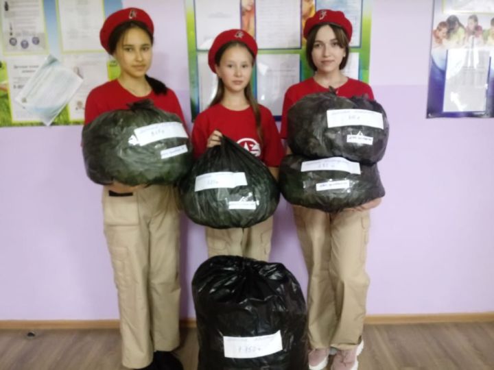 Учащиеся Чутеевской школы занимаются сбором  лекарственных трав