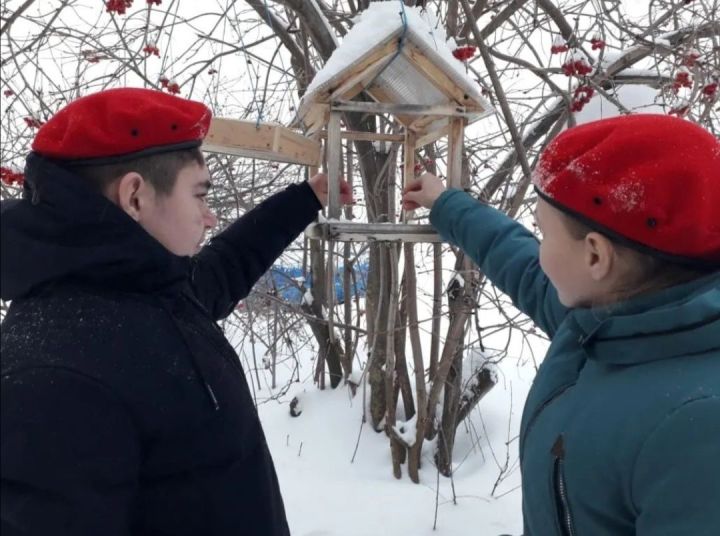 Кайбицкие юнармейцы участвуют в акции "Покорми птиц зимой"