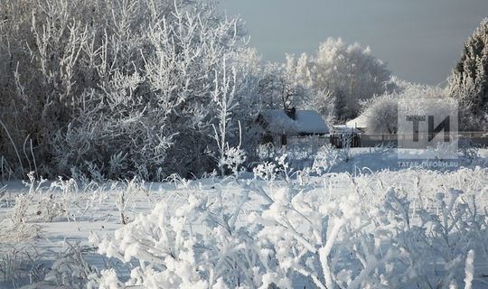 В Татарстане ожидается снег и до 25 градусов мороза