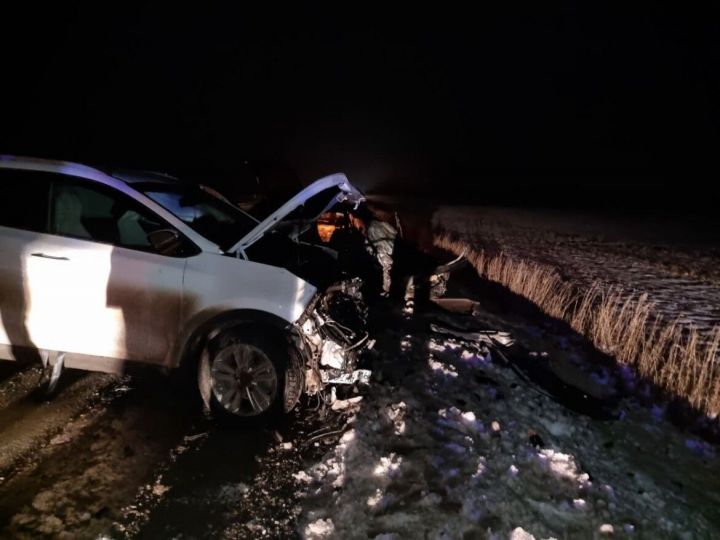 Пассажир погиб в лобовом столкновении двух авто в Татарстане, еще четверо в больнице
