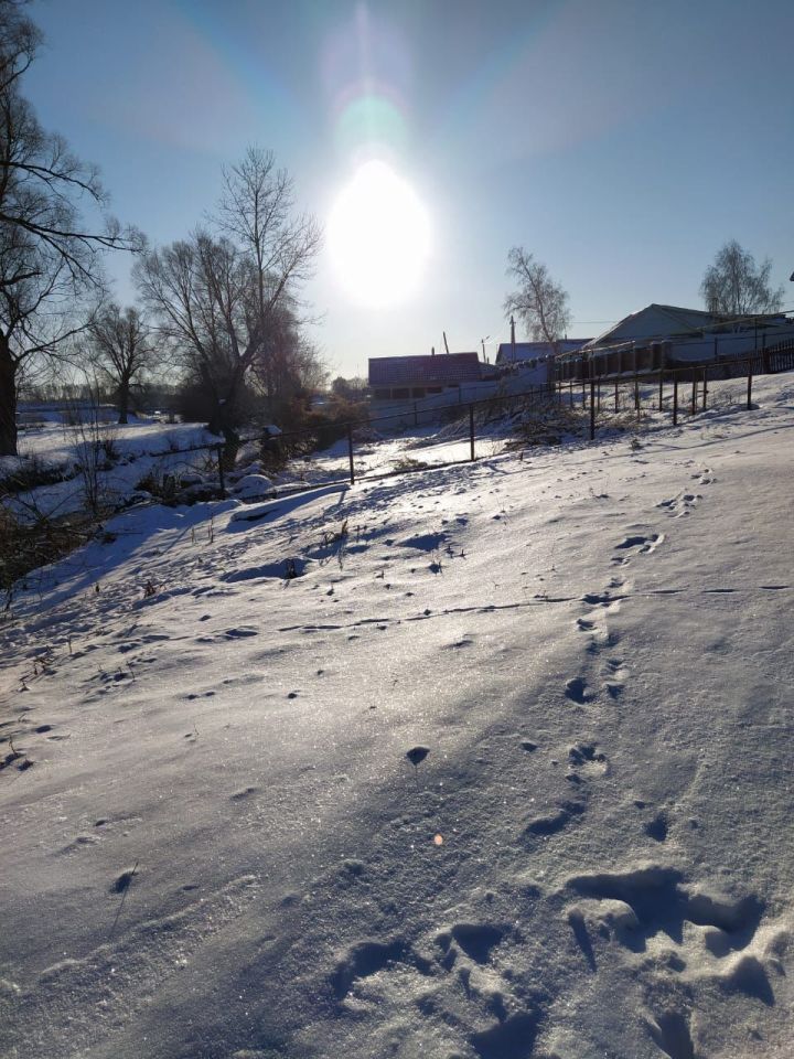 В Татарстане февраль закончится дождями, снегом и плюсовыми температурами