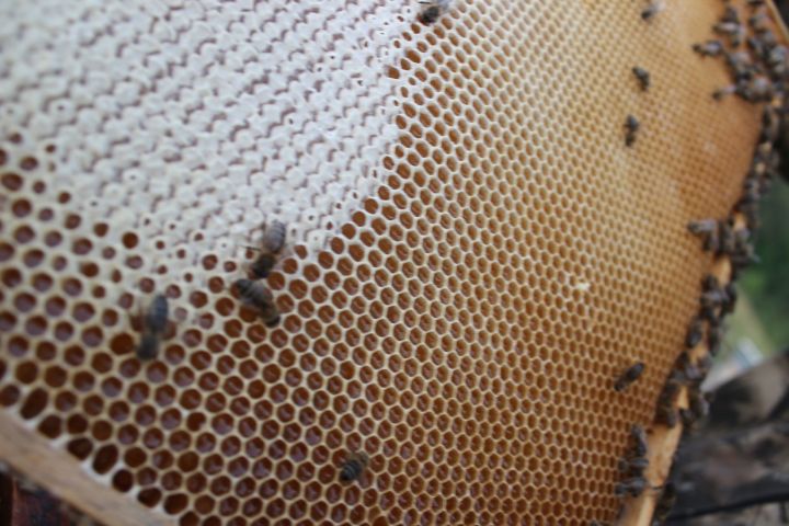 Кайбичане, пришла пора освящать мед