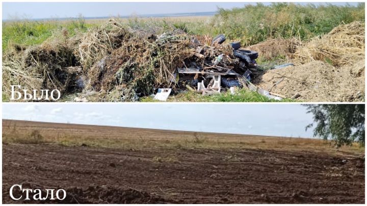 Экологи заставили убрать огромную свалку в Кайбицком районе