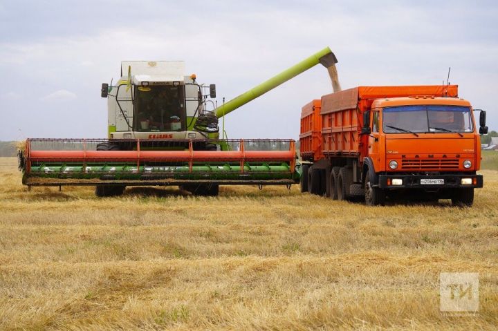 Аграрии Татарстана собрали 5 млн тонн зерна