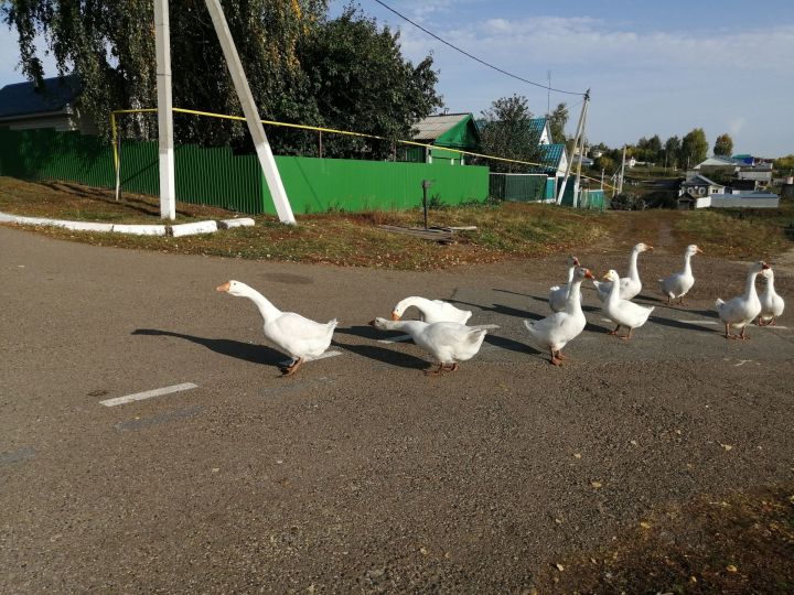 Синоптики пообещали потепление в Татарстане