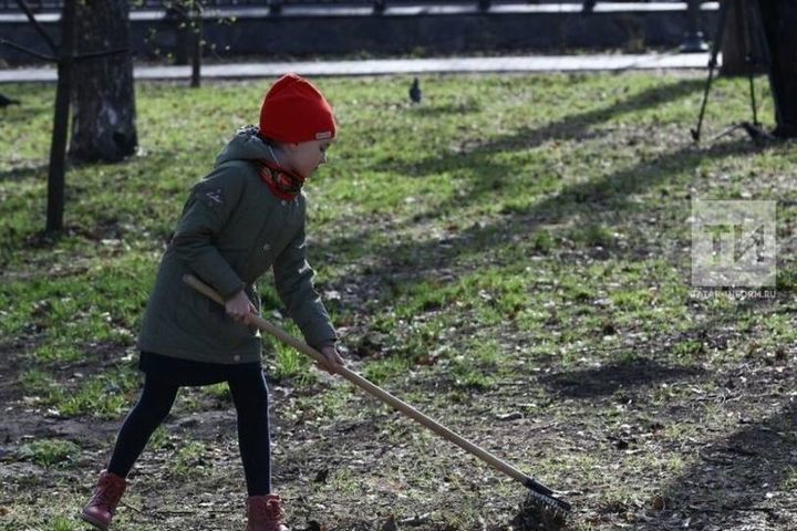 Проведите генеральную уборку около домов