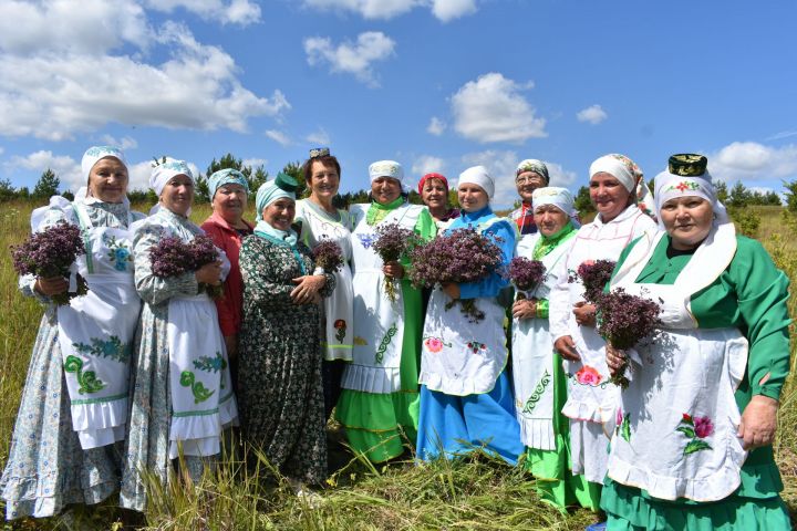 «Праздник душицы» - традиция, начатая старшим поколением Бурундуков