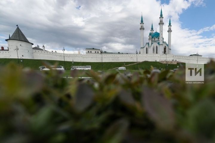 Школьников Татарстана приглашают к участию в фотоакции «Мое культурное лето»