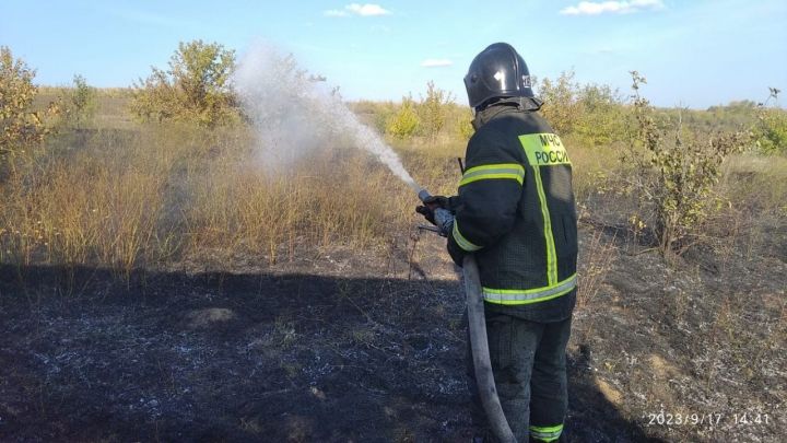 В Татарстане из-за пожарной опасности продлили ограничение на пребывание в лесах