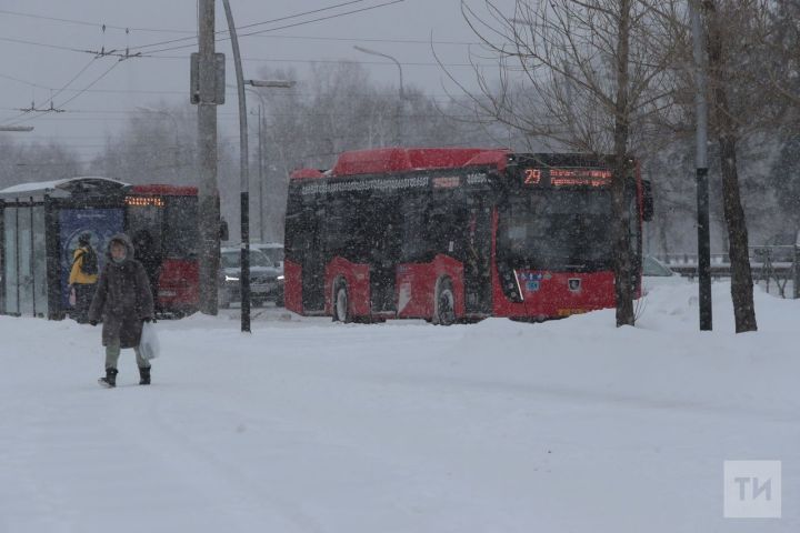 В Казани пожилая женщина, переходившая дорогу на зеленый, погибла под колесами автобуса