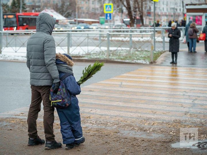 Профилактическое мероприятие «Пешеход!»