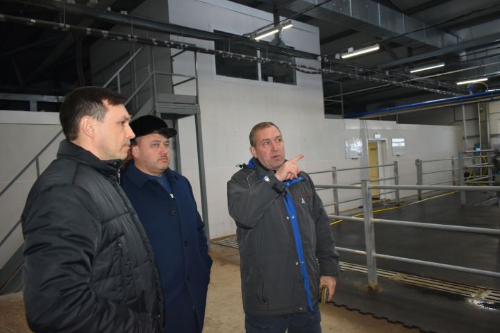 Глава Кайбицкого района совместно с министром Минземимущества РТ побывали в обществе «Туган як-Агро»