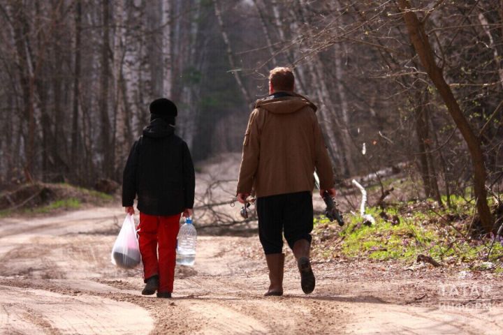 В Татарстане с начала сезона 14 человек пострадали от укусов клещей