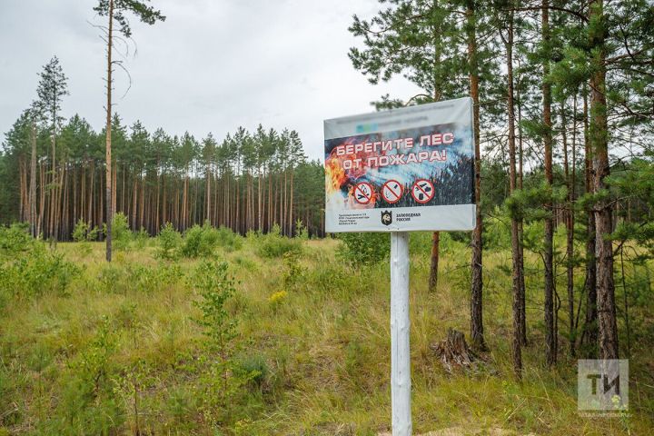 В лесах Татарстана начался пожароопасный сезон