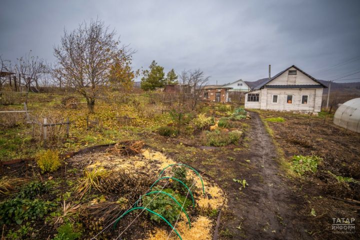 Садоводов обяжут использовать земельные участки в течение трех лет