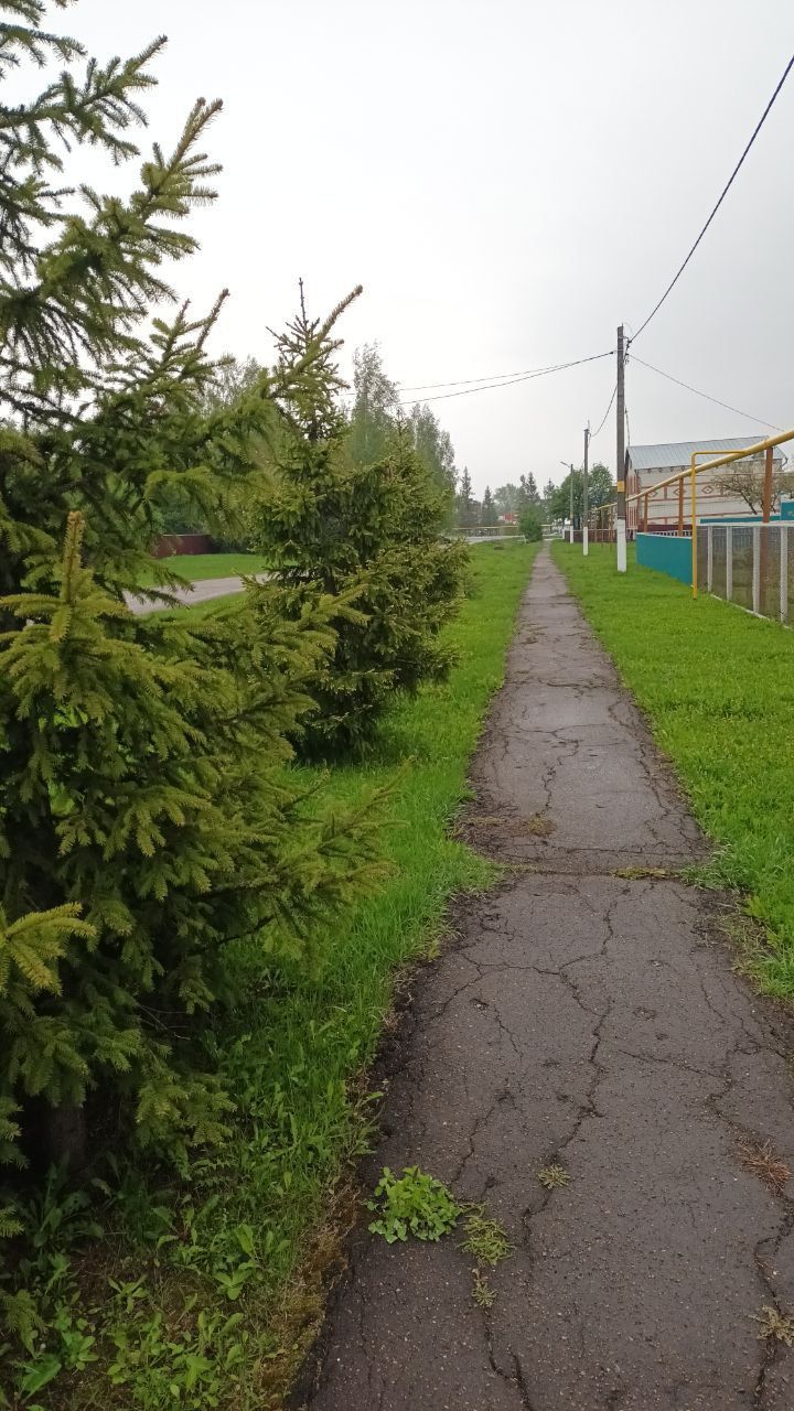 Прогноз погоды в Татарстане: кратковременные дожди не покидают республику