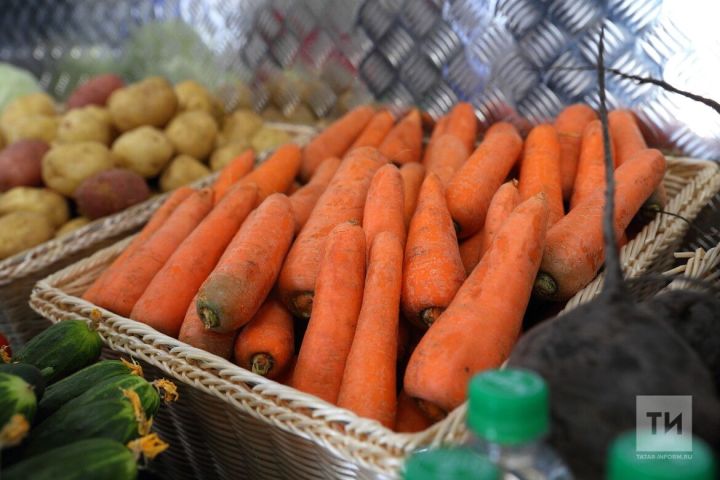 В Казани откроются семь новых ярмарочных площадок