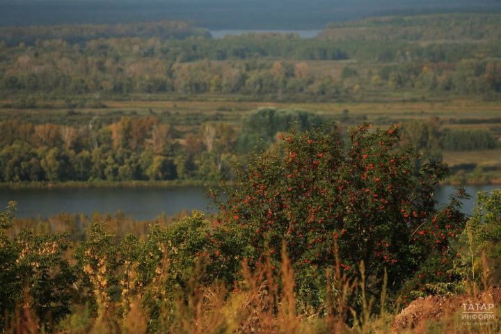 В Татарстане ожидается до 25 градусов тепла, ветер утихнет