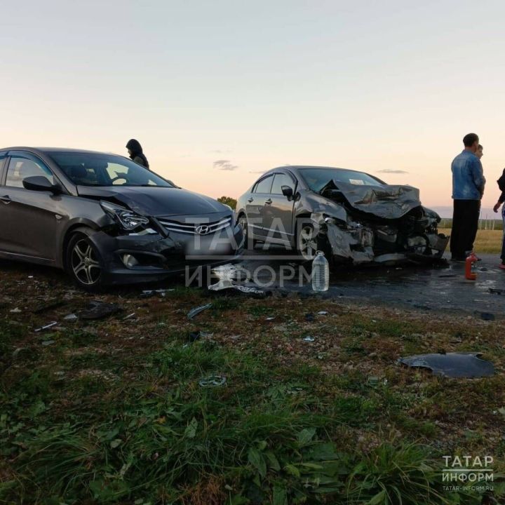 В массовом ДТП на трассе в Татарстане пострадали два человека