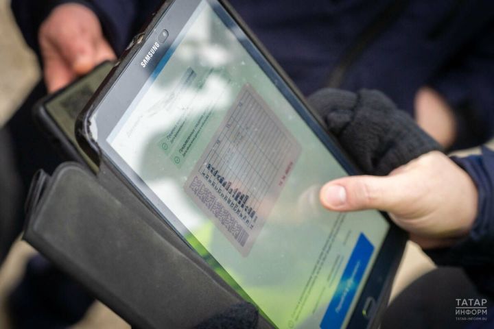 Автоюрист Славнов объяснил, когда водителя могут временно лишить права управлять ТС
