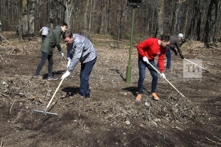 Татарстанда санитар икеайлык вакытында 551 хокук бозу очрагы ачыкланган