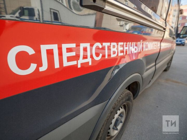 Следком возбудил дело на жительницу Казани за истязание маленьких сына и дочки