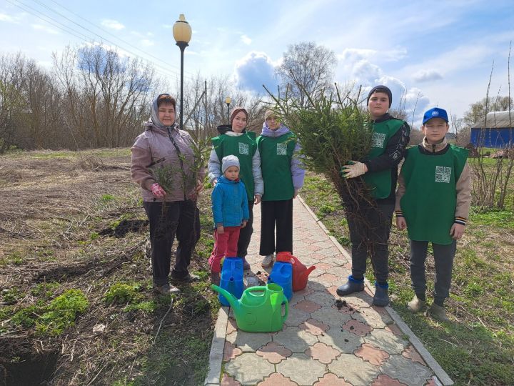 В парке села Берлибаш прошла экологическая акция по посадке деревьев