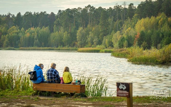 В новый учебный год — с заботой о природе!