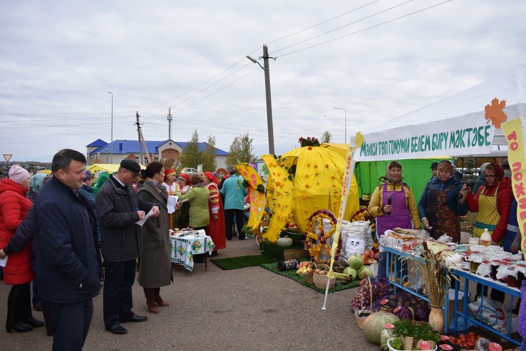Школы района представили выращенный урожай на осенней ярмарке