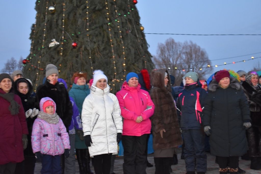 В Кайбицах состоялось открытие главной елки