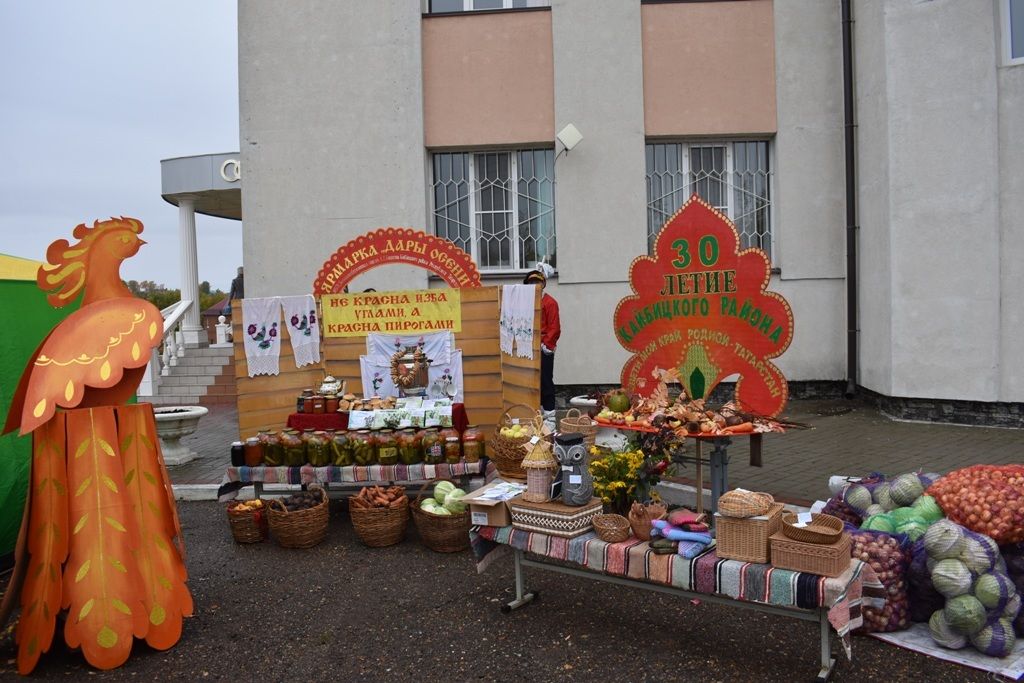 В Кайбицах состоялся праздник «Урожая»