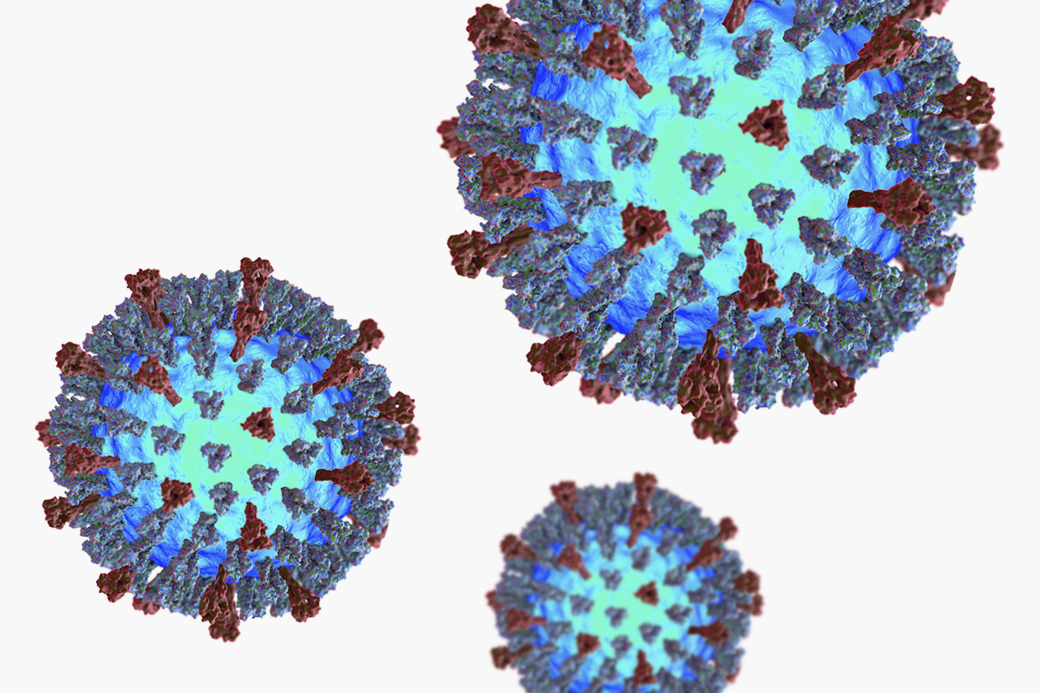 Возбудителем коронавирусной инфекции является вирус семейства. Вирус кори РНК. Вирус кори под микроскопом. Вирус краснухи под микроскопом.