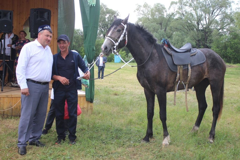 Сабантуй в Эбалакове: известные артисты, конные скачки, гонки тракторов
