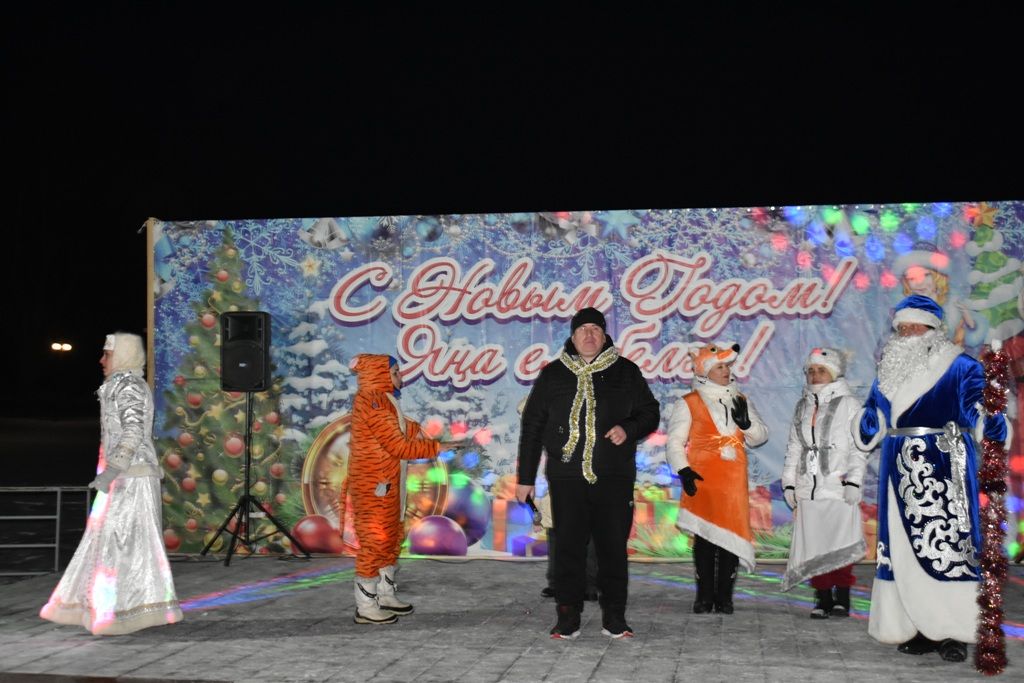 В Кайбицах состоялось открытие главной ёлки района